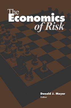 The Economics of Risk